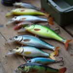 top swimbaits for bass